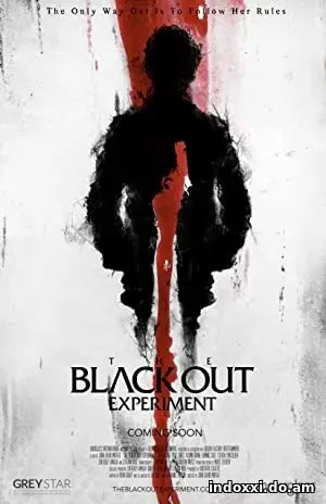 Nonton Film The Blackout Experiment (2021) Subtitle Indonesia
